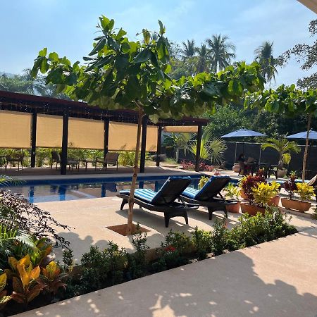 Natura Hotel & Villas Zihuatanejo Exterior photo